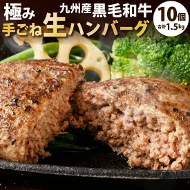 九州産黒毛和牛極み手ごね生ハンバーグ